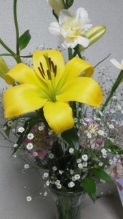 ���F�����